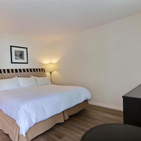 Motel De La Montagne Orford Ngoại thất bức ảnh
